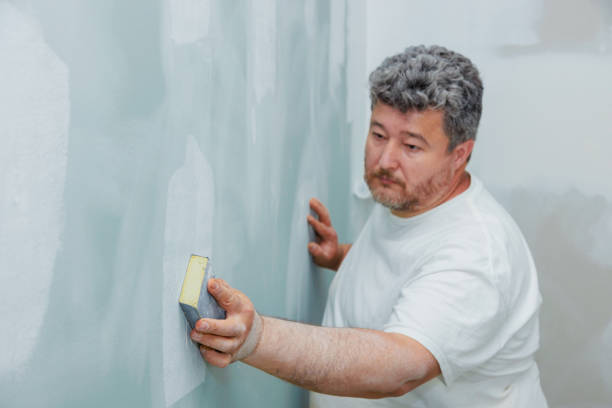 Best Basement Mold Removal  in Minerva Park, OH