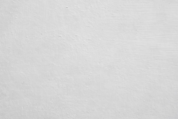 Reliable Minerva Park, OH Mold Removal Solutions