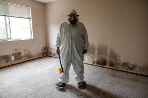Best Mold Remediation for Healthcare Facilities  in Minerva Park, OH